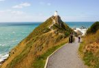 die Besten Wanderwege in Neuseeland Catlins Nugget Point