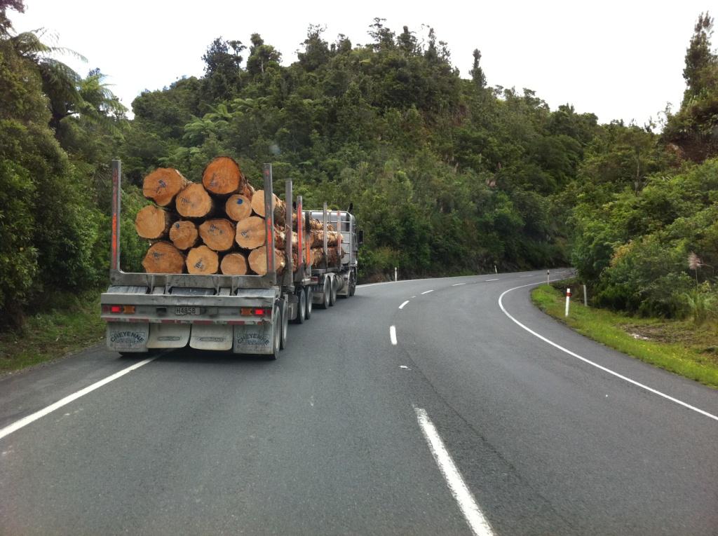 Holzlaster auf Highway in Neuseeland