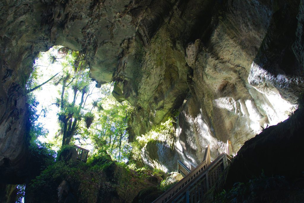 King Country: 11 Abenteuer abseits der Waitomo Caves 46 Off the beaten track Mangapohue