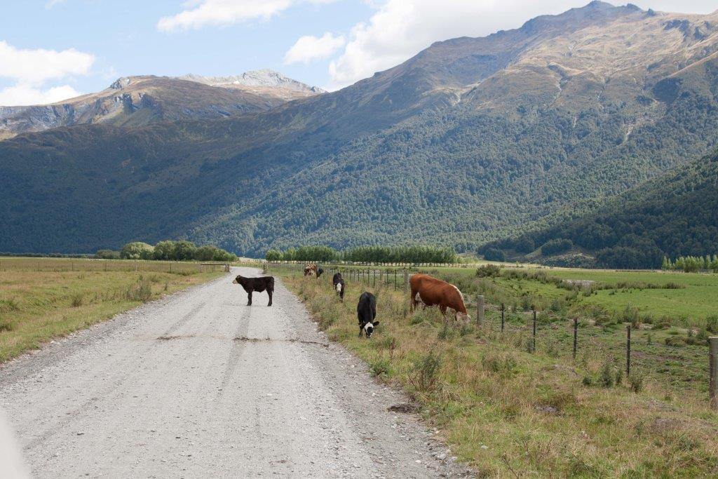Neuseeland Must do Gravel Road