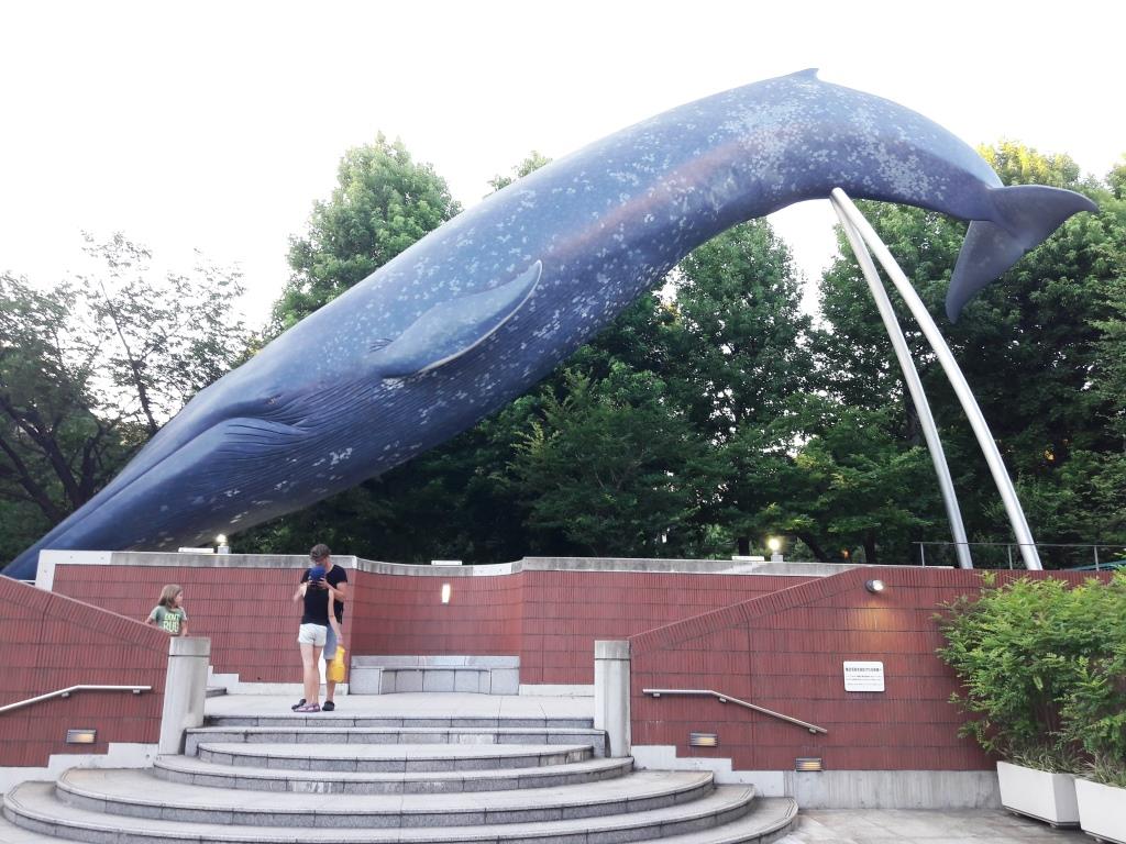 Tokio mit Kindern: 10 Tipps für einen Kurzbesuch 33 Tokio mit Kids National Museum of Nature Blauwal