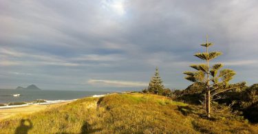 Bay of Plenty Matata Strand