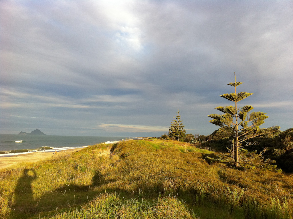 Bay of Plenty Matata Strand