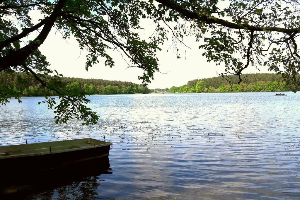 Paddeln Feldberg Steg Carwitzer See