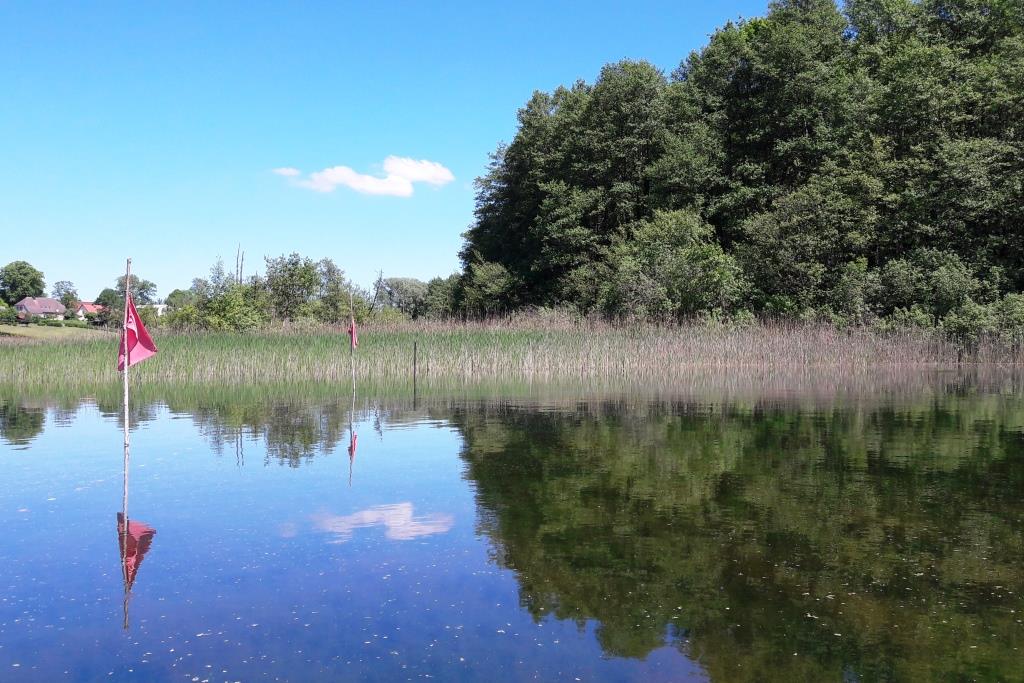 Paddeln Feldberger Seenlandschaft