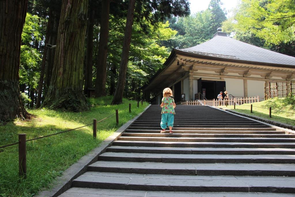 Hiraizumi Chusonji Konjikido