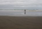 Plastikmüll vermeiden Surfer am Muriwai Beach