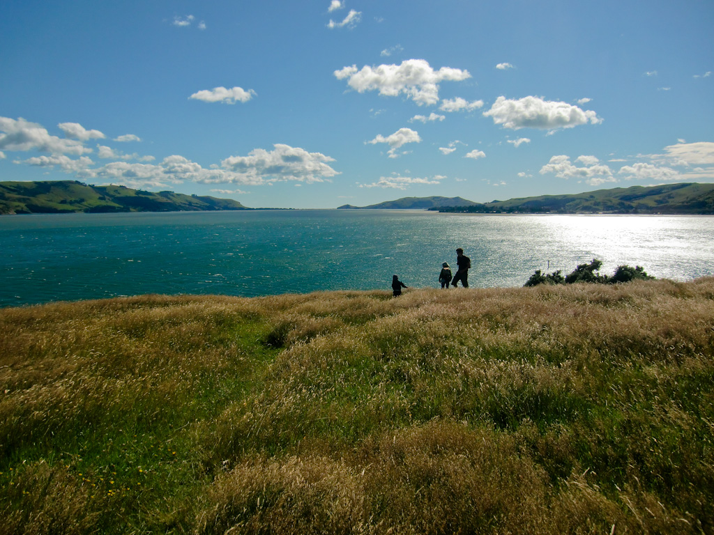 Otago Peninsula 111 Gründe Neuseeland zu lieben 