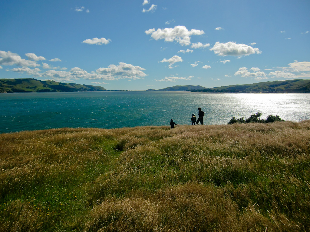 111 Gründe, Neuseeland zu lieben: Wir schenken euch ein Buch-Kapitel! 3 Otago Peninsula 111 Gründe Neuseeland zu lieben