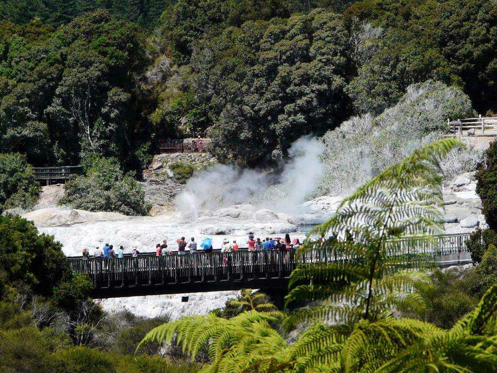 Thermalgebiete in Neuseeland: welche sind kindertauglich? 20 Pohutu Geysir Te Puia Whakarewarewa