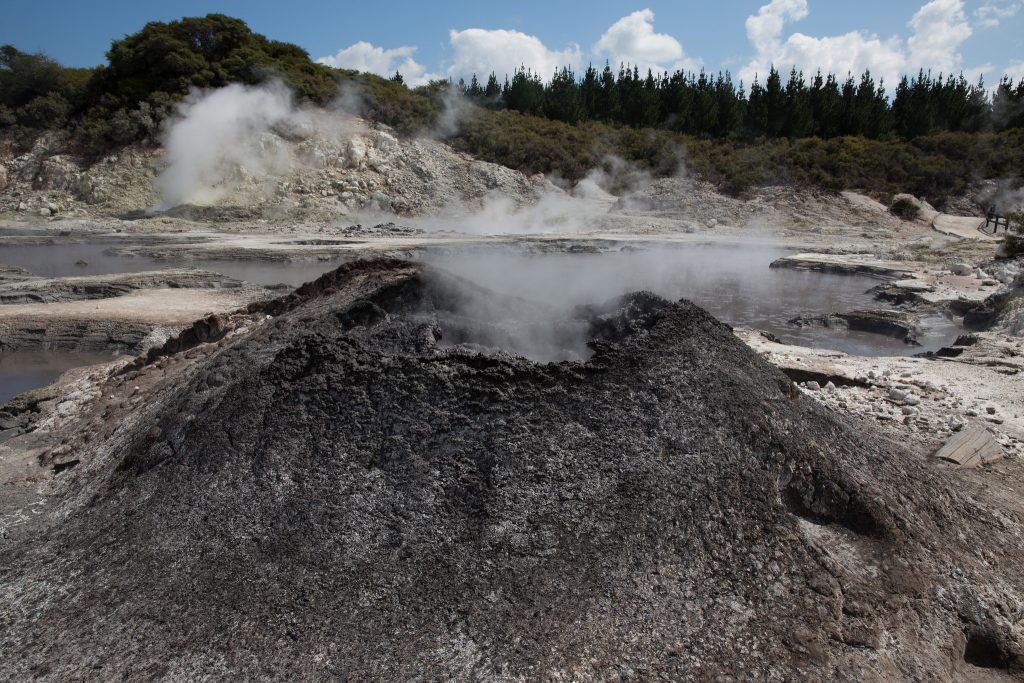 Thermalgebiete in Neuseeland: welche sind kindertauglich? 23 Hells Gate Tikitere Rotorua Jens Hilligsoe