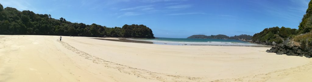 Stewart Island mit Kindern