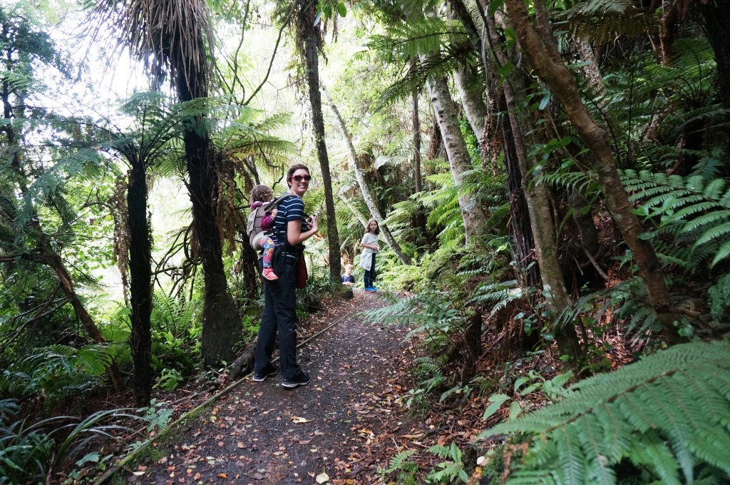 Stewart Island Wald