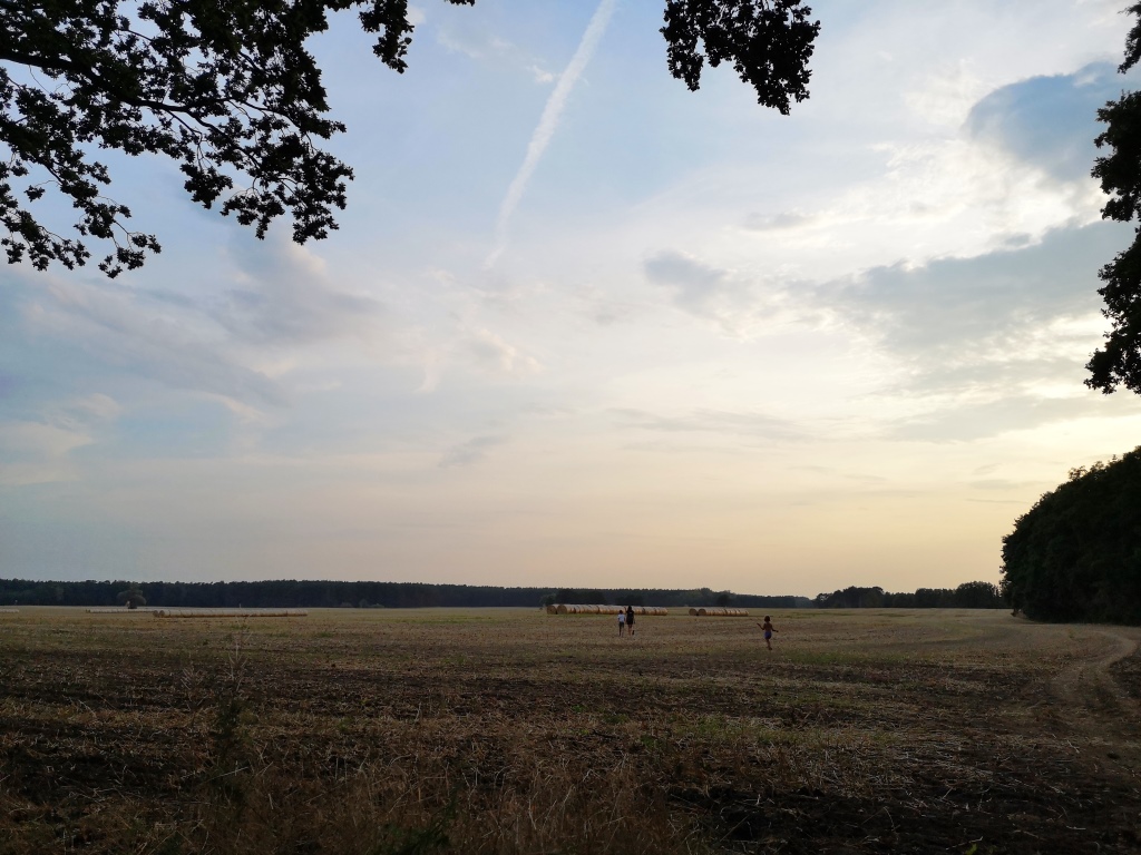 Brandenburg mit Kindern: Auszeit in Zerpenschleuse 24 Brandenburg Sonnenuntergang