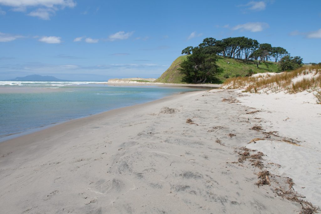 Pakiri Beach Nordinsel mit Baby