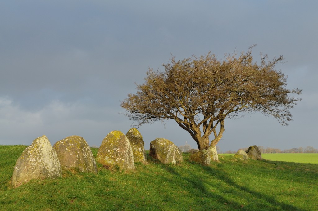 Rügen Großsteingrab Nobbin