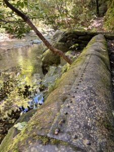 Nelson Brook Waimarama Sanctuary
