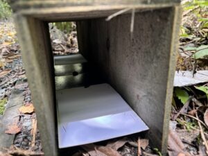 Nelson Brook Waimarama Sanctuary