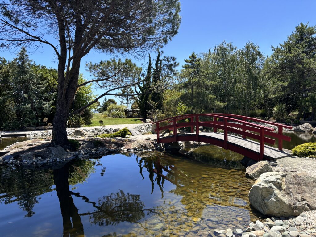 Nelson mit Kindern erleben: Insider-Tipps für den "Mittelpunkt Neuseelands" 29 Nelson mit kindern Miyazu Garden