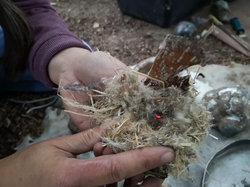 Rügen mit Kindern Wildnisschule