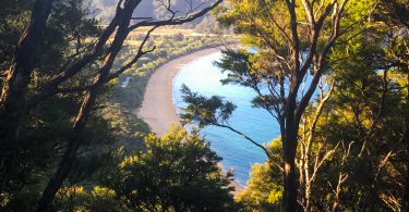Awaroa Bay Abel Tasman Cornelia Pail