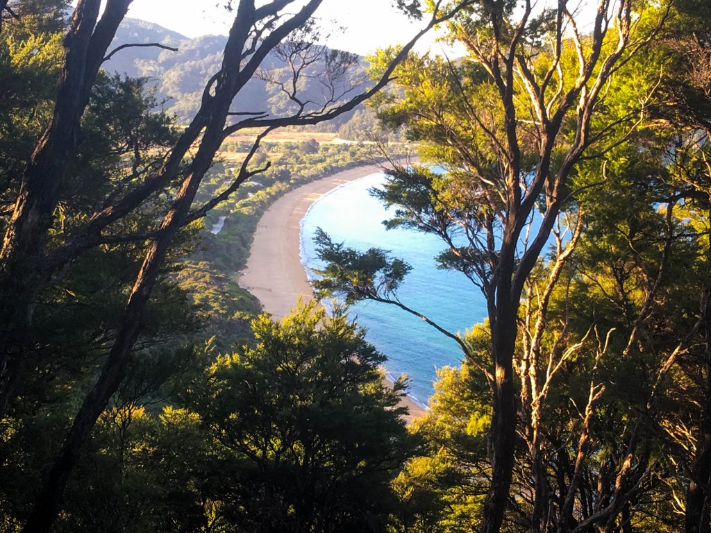 Spontan-Wanderung auf dem Abel Tasman Coastal Track – in Flipflops mit zwei Kindern 2 Awaroa Bay Abel Tasman Cornelia Pail