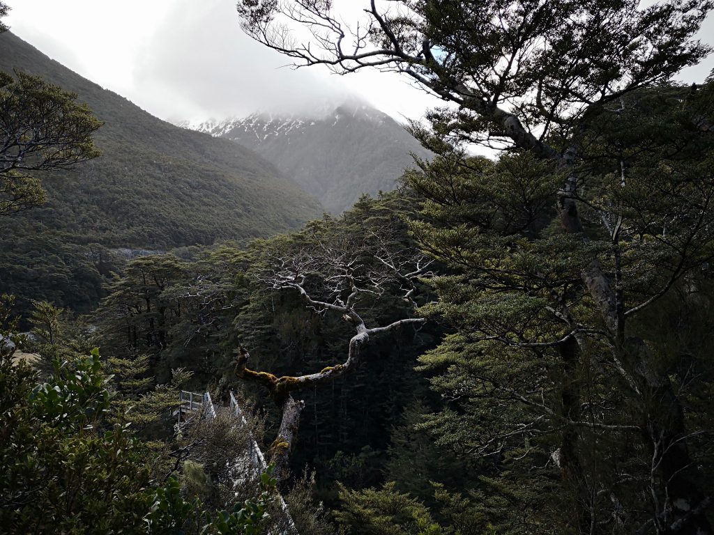 Arthurs Pass Devils Punchbowl