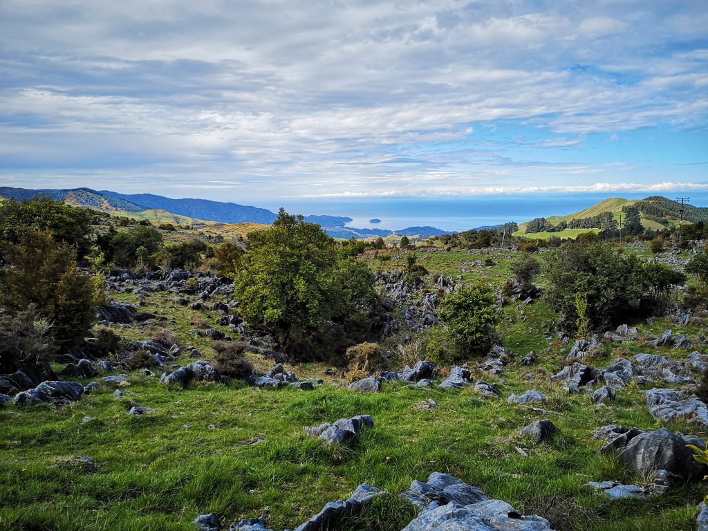 Golden Bay Neuseeland