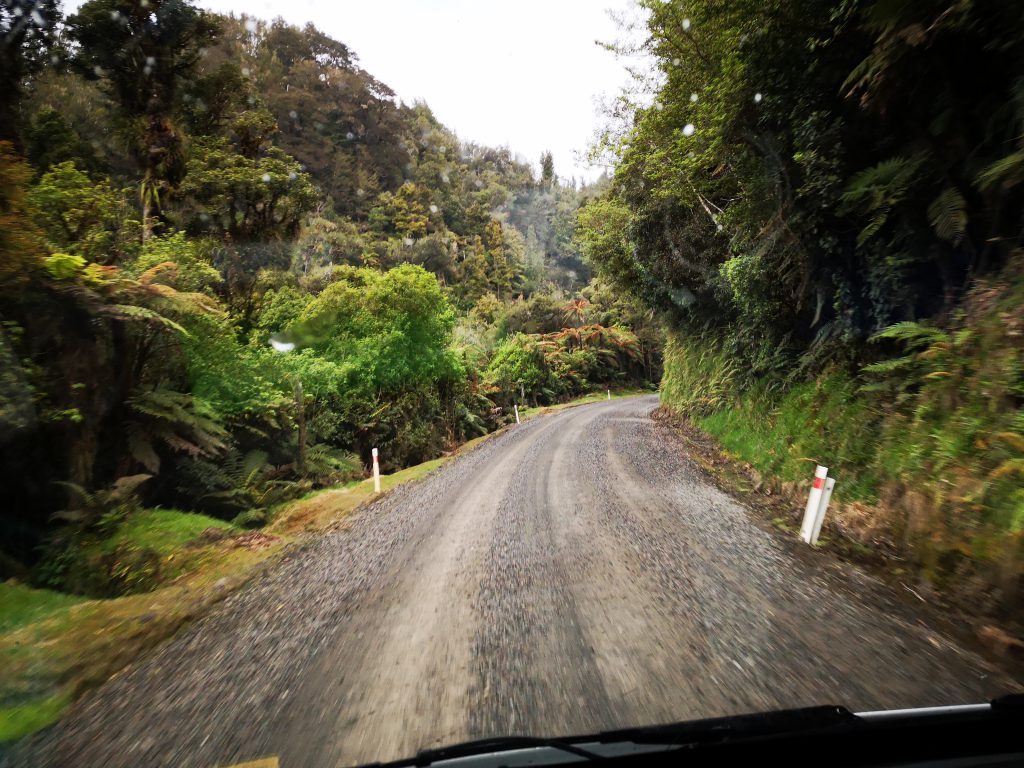 Forgotten World Highway Tangarakau Gorge