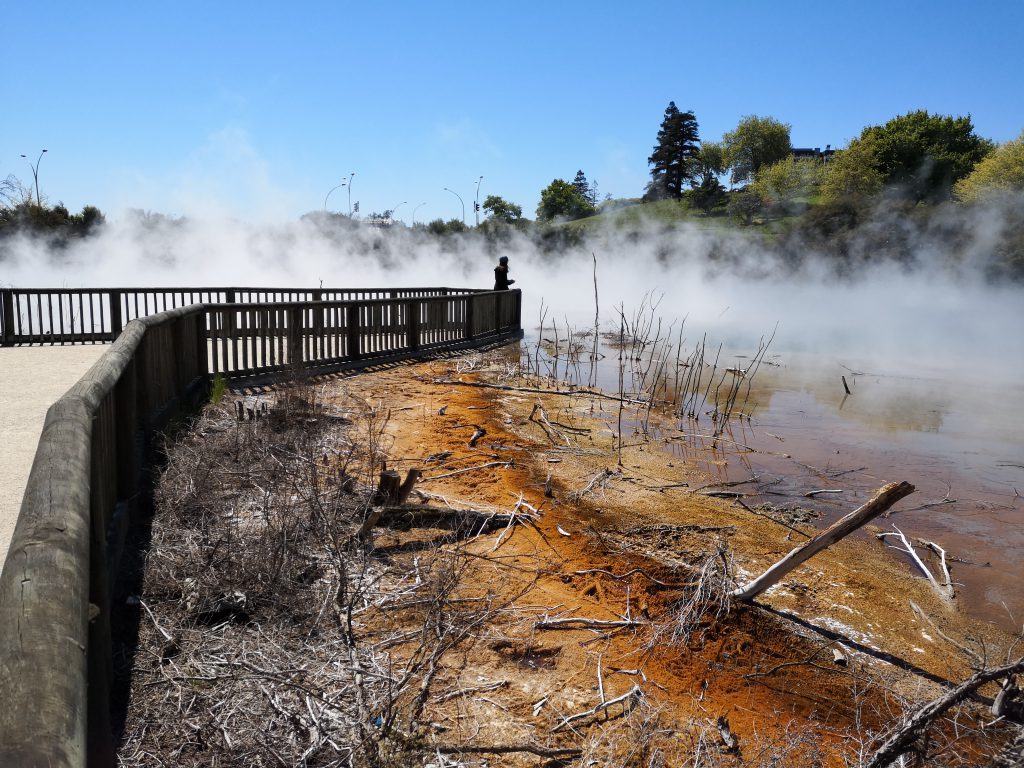 Rotorua Kuirau Park