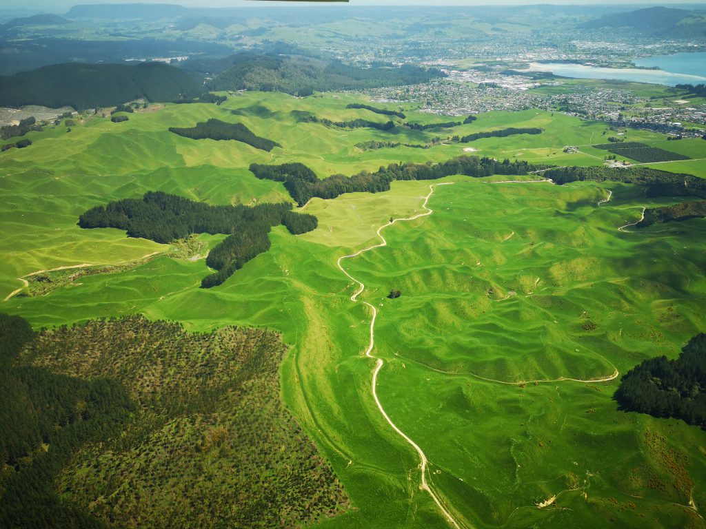 Rotorua