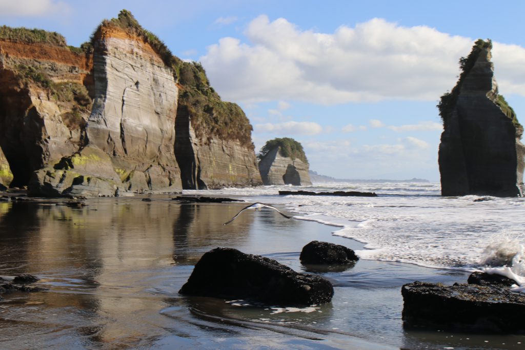 Tongaporutu Beach