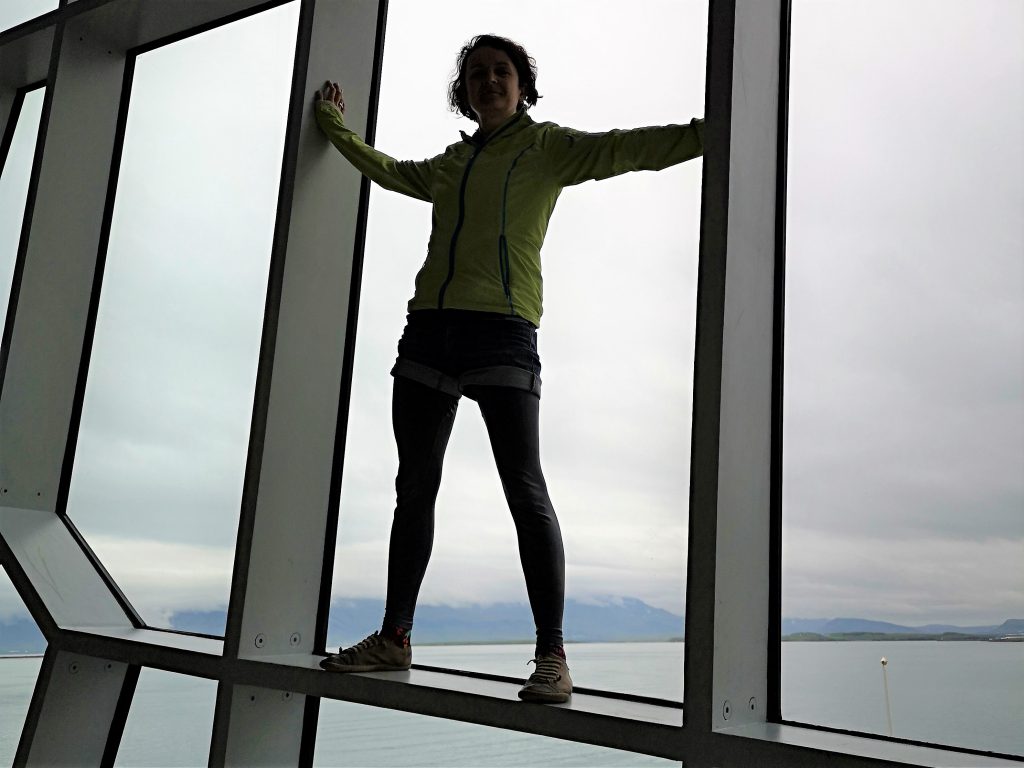 Island Reykjavik Harpa