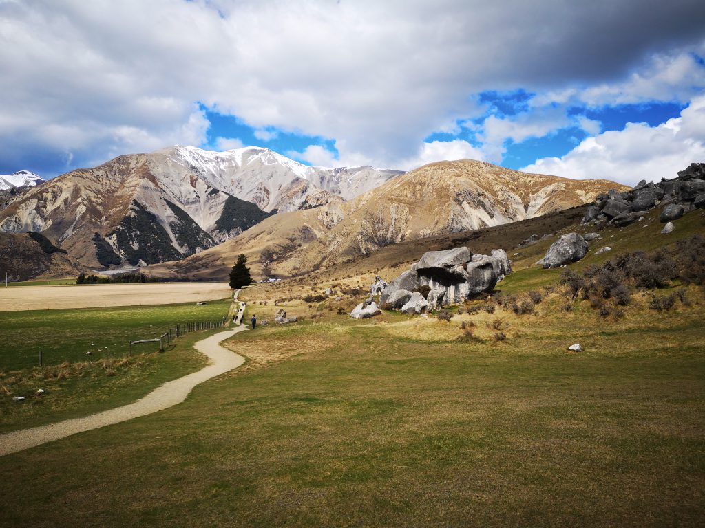 Die 19 schönsten Wanderwege in Neuseeland für Familien 29 Castle Hill Weg