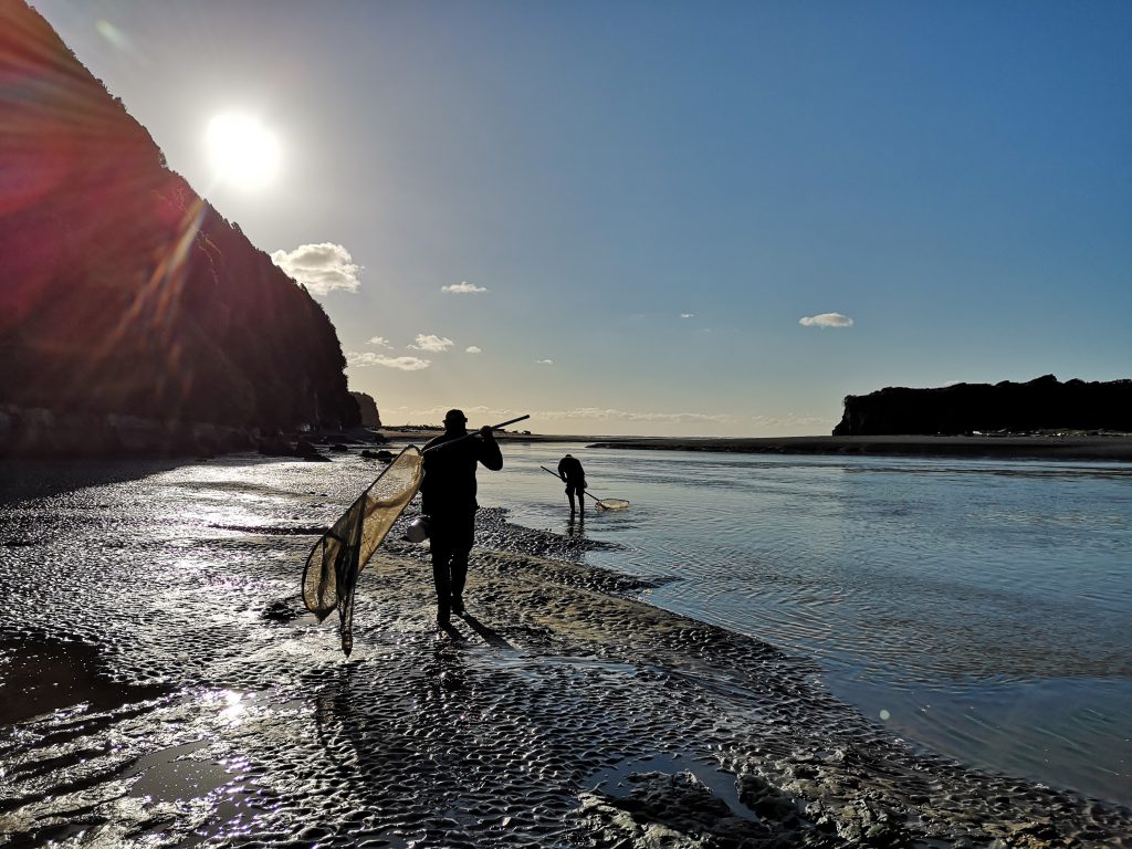 Tongaporutu Beach Whitebait