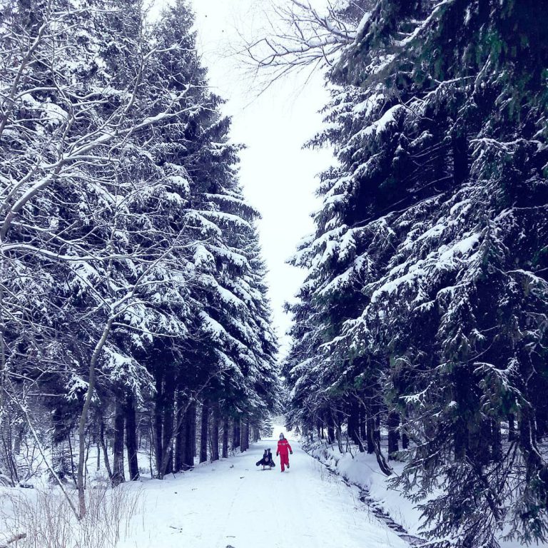 Erzgebirge im Winter Schlitten
