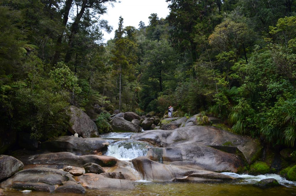 Wasserfall Neuseeland