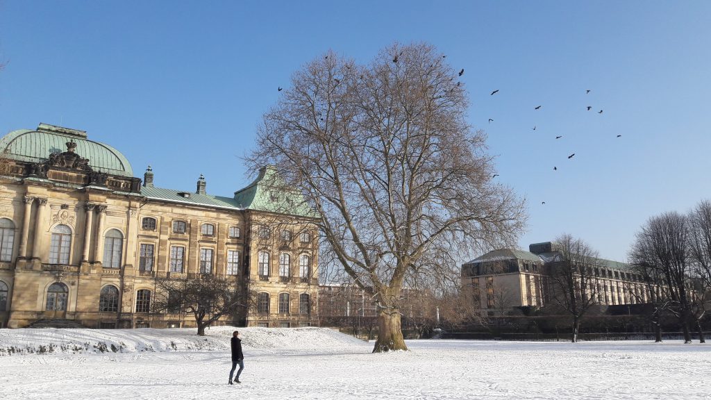 Japanisches Palais Winter