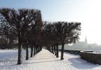 Dresden im Winter mit Kindern