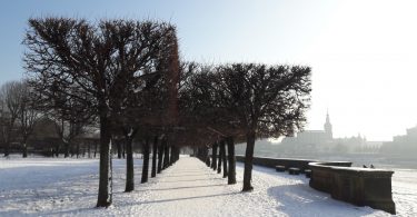 Dresden im Winter mit Kindern