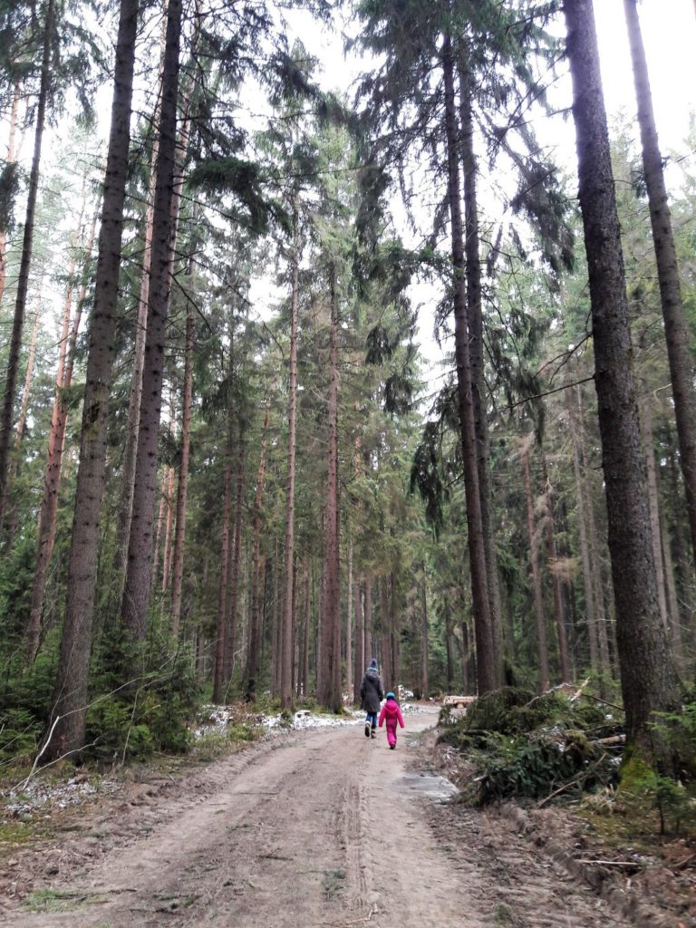 Dresden im Winter: 11 Tipps für Familien 35 Dresdner Heide im Winter