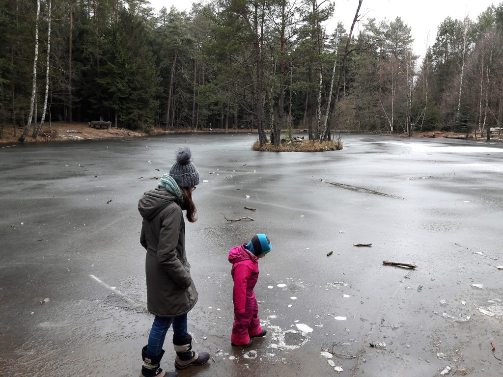 Dresdner Heide Haarweidenstausee