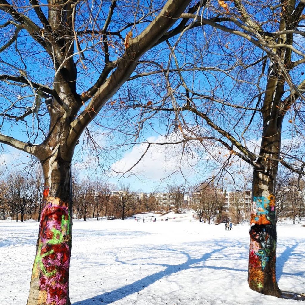 Dresden im Winter