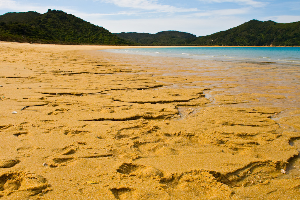 Abel Tasman National Park mit Kind: die besten Strände und Walks für Familien 4