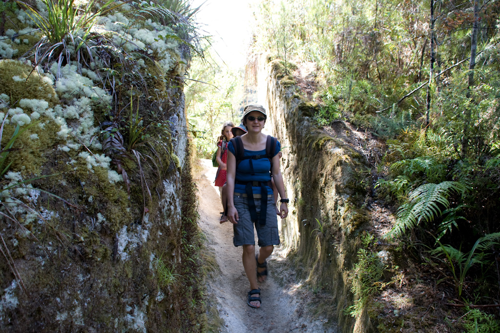 Abel Tasman Coastal Walk wandern mit Kindern