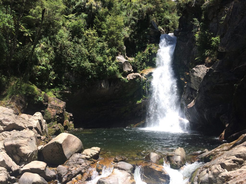 Wainui Falls Abel Tasman NZ