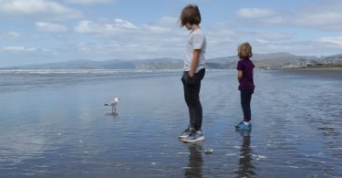 Christchurch New Brighton Beach Kinder