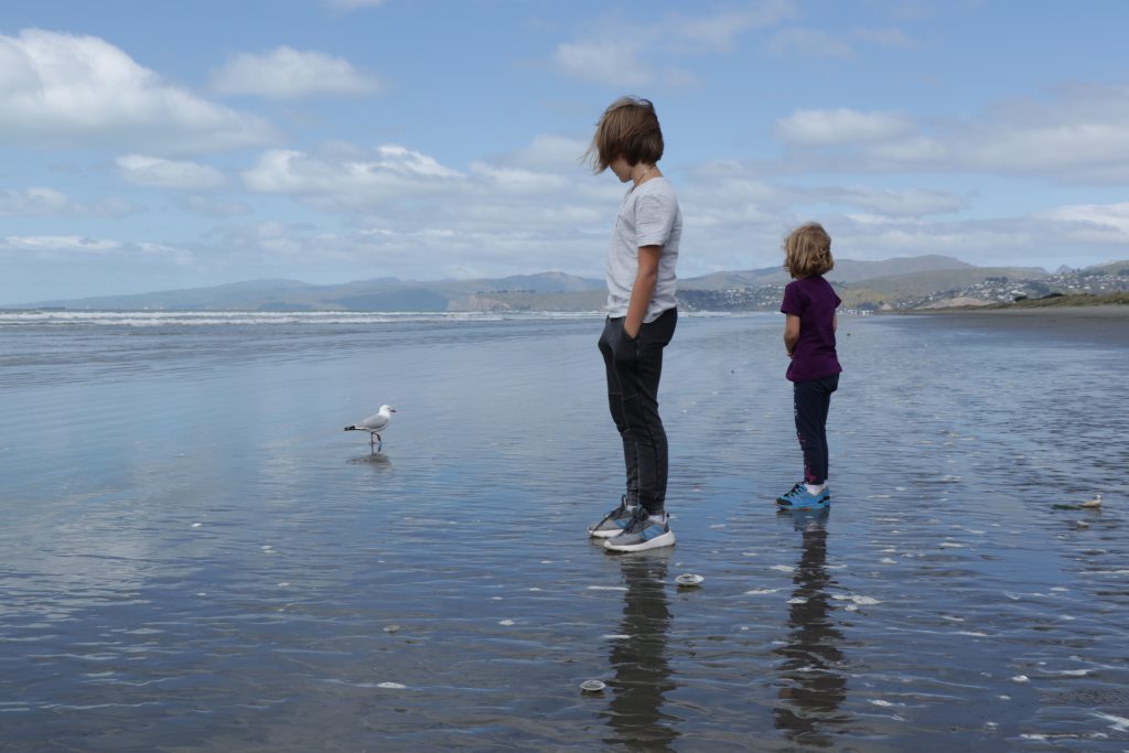 Christchurch New Brighton Beach Kinder