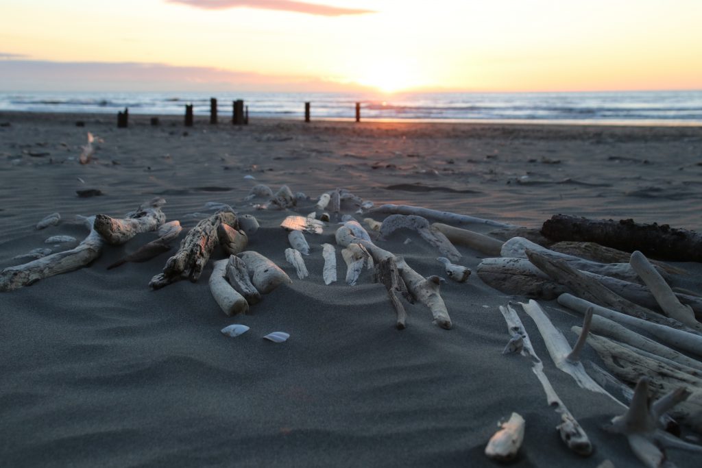 Neuseeland Sonnenuntergang Westcoast