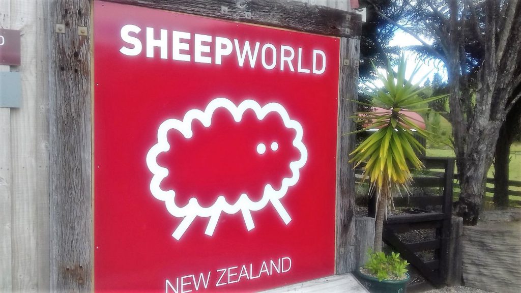 Sheep World Warkworth Schild